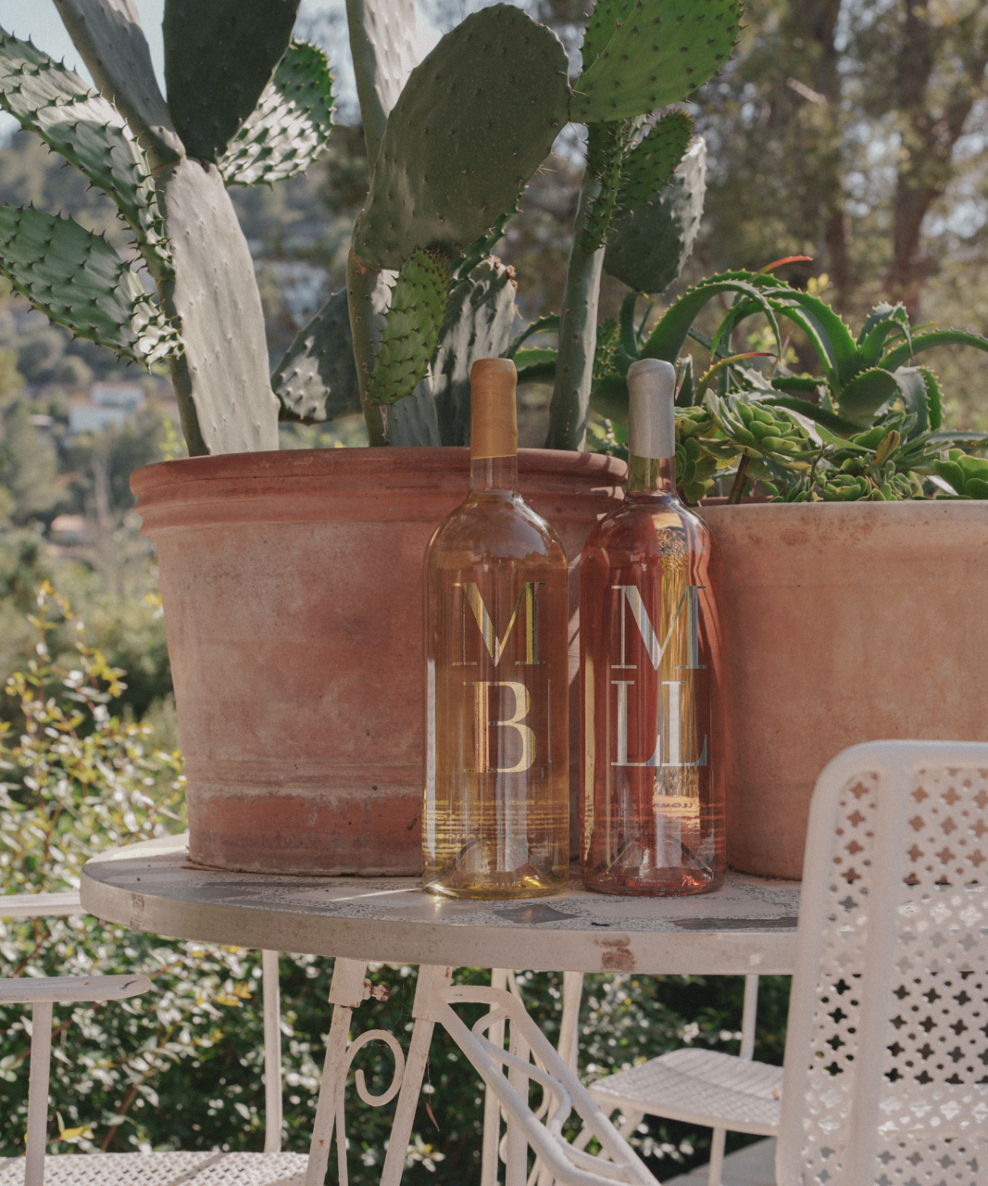 2 magnum bottles of white and rose wine